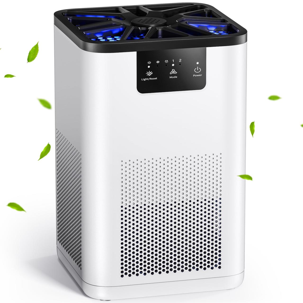 Allergies purifiers asthma Allergies purifiers asthma